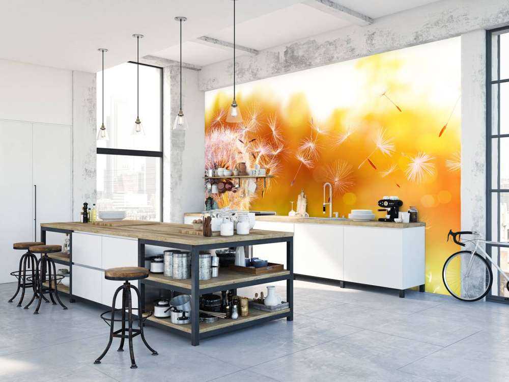 Paardebloemen onder rood licht