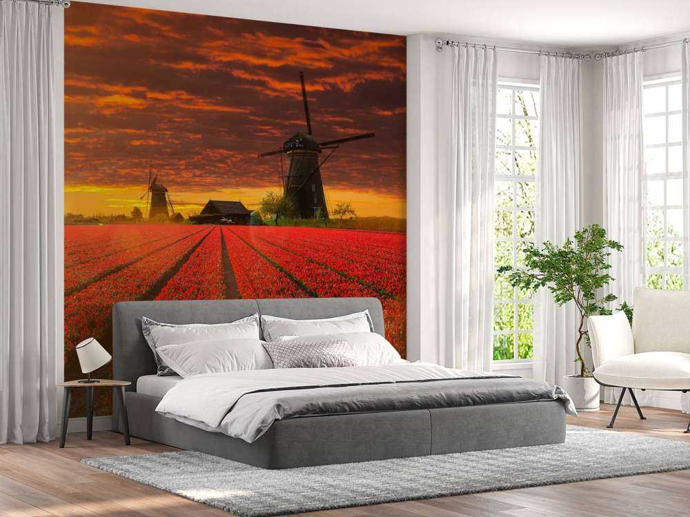 Hollands tulpenveld onder een rode lucht