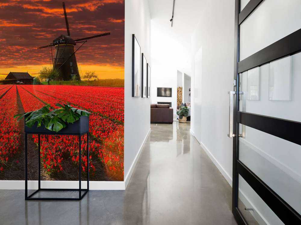 Hollands tulpenveld onder een rode lucht