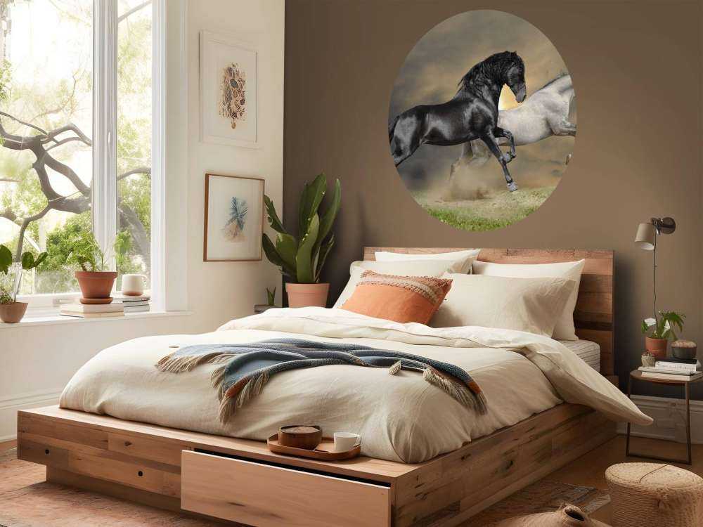 Zwart & Wit Paard op Gras