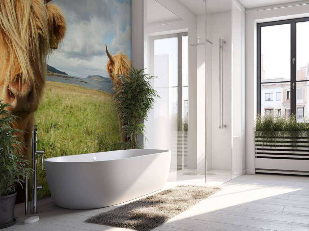 2 Schotse Hooglanders