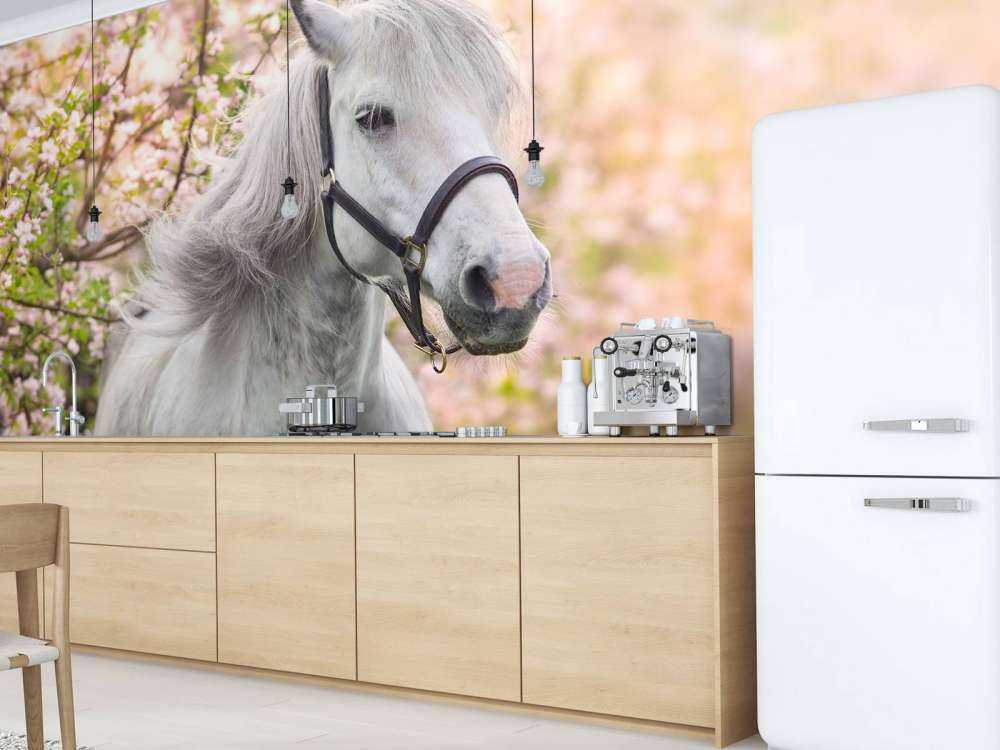 Wit Paard met Bloesem in Lente