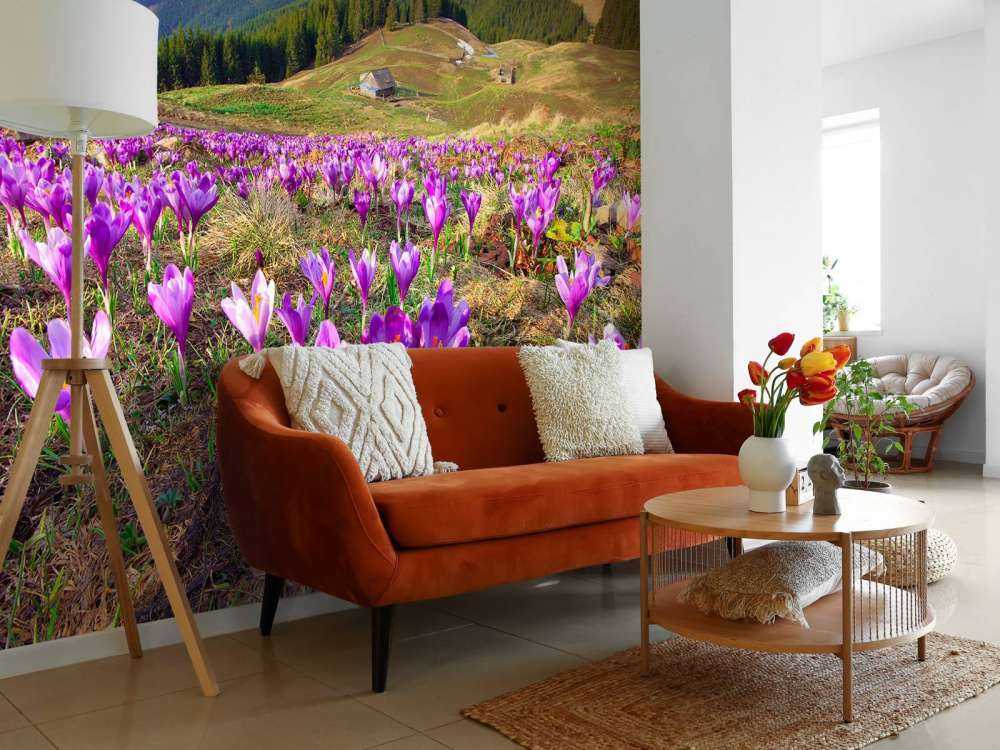 Bloemenveld van krokussen in de bergen