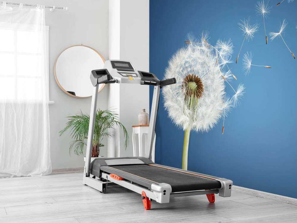 Paardenbloem op blauwe achtergrond