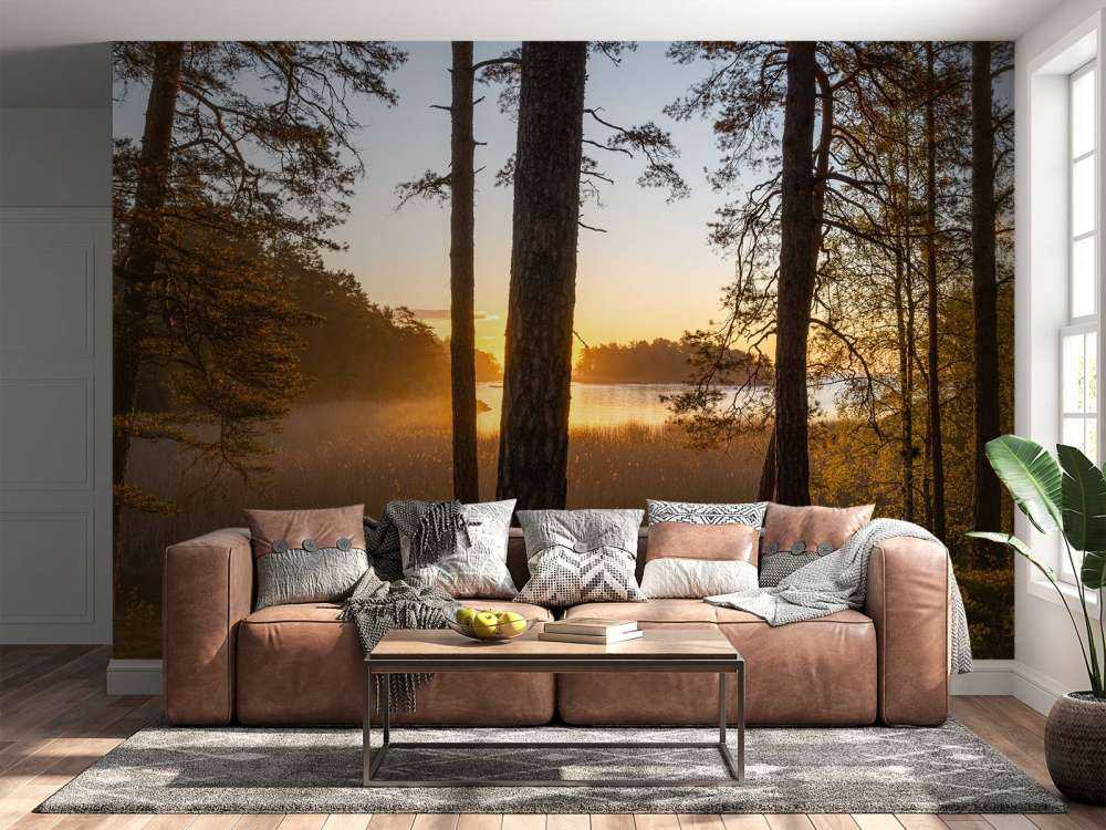 Bos tijdens zonsondergang