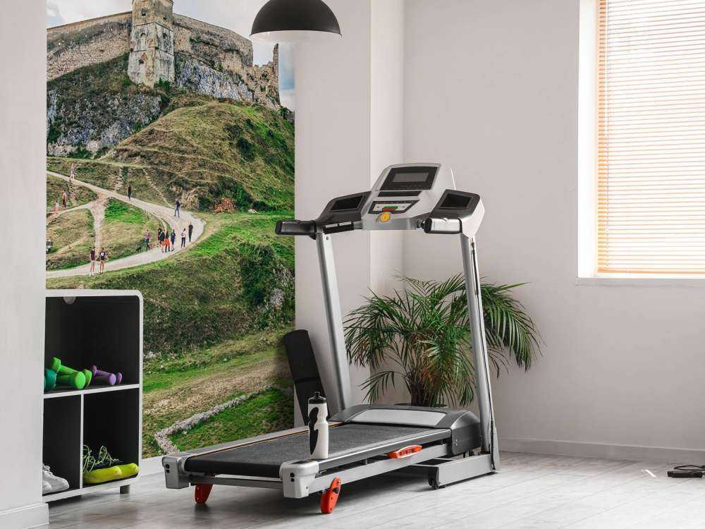 Cetatea Râșnov op een bewolkte dag