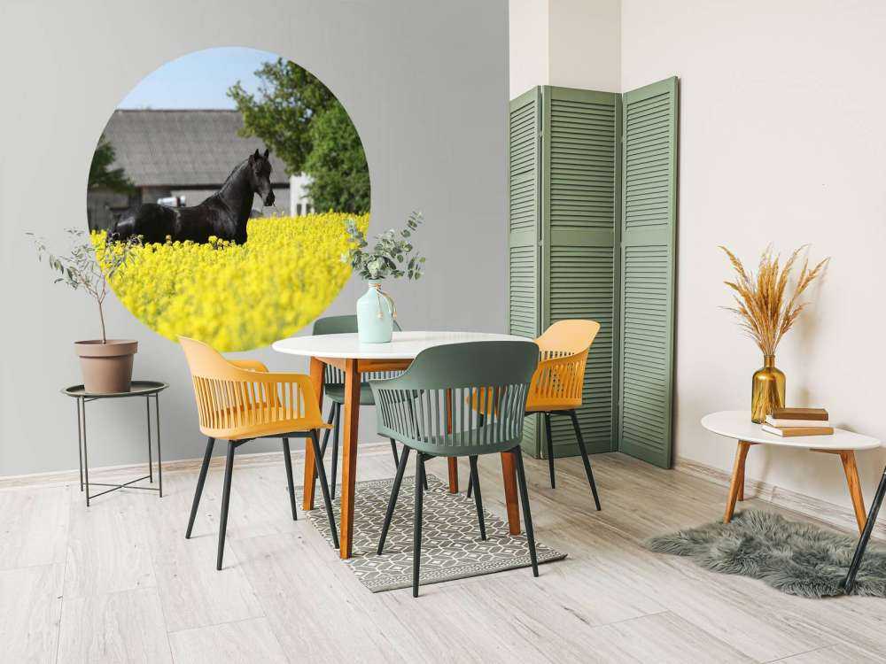 Zwart Fries Paard in de lente tussen de bloemen