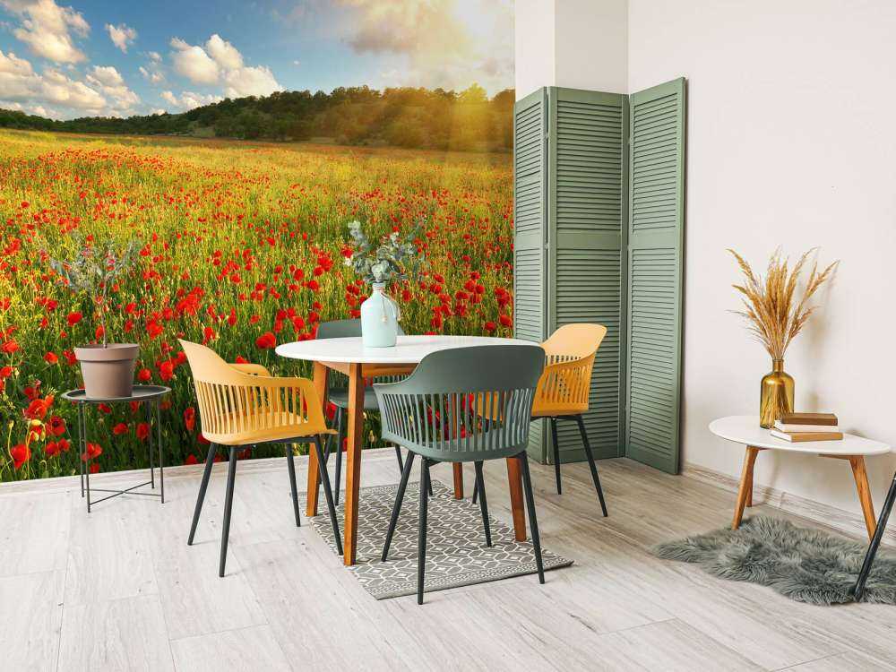 Klaprozen met Zonsondergang