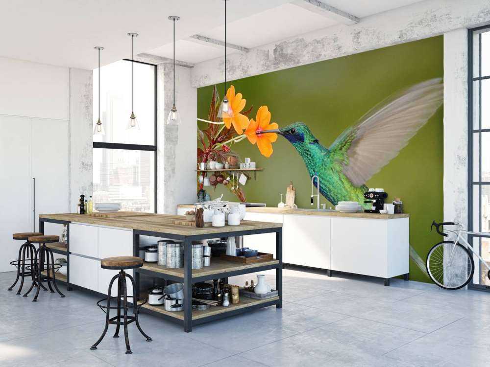 Kleurrijke Kolibrie op Bloem