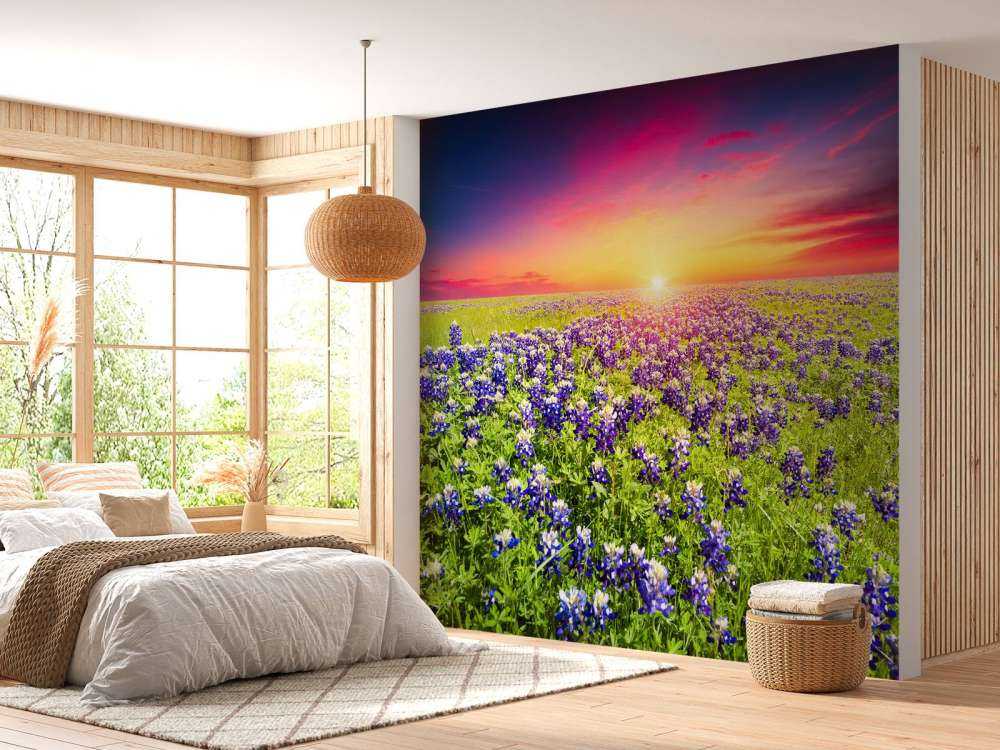 Bluebonnets met mooie Zonsondergang