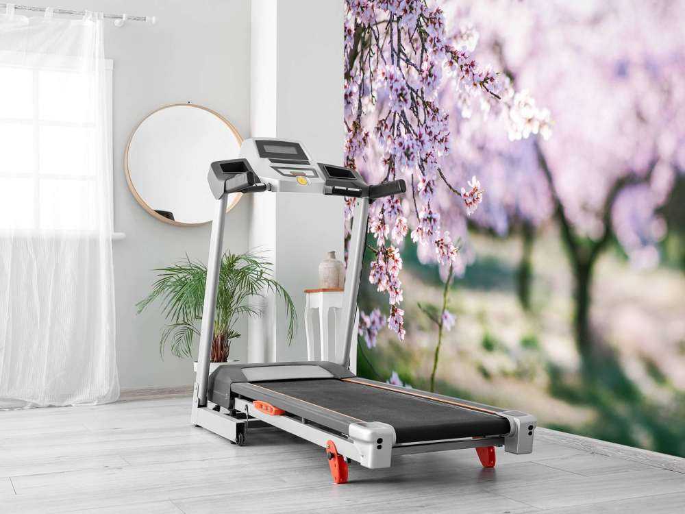 Bloeiende Amandelbomen