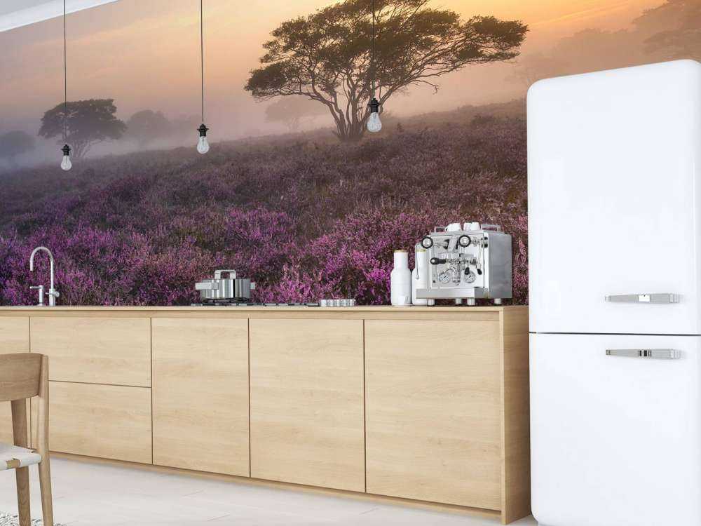 De Veluwe in de vroege ochtend