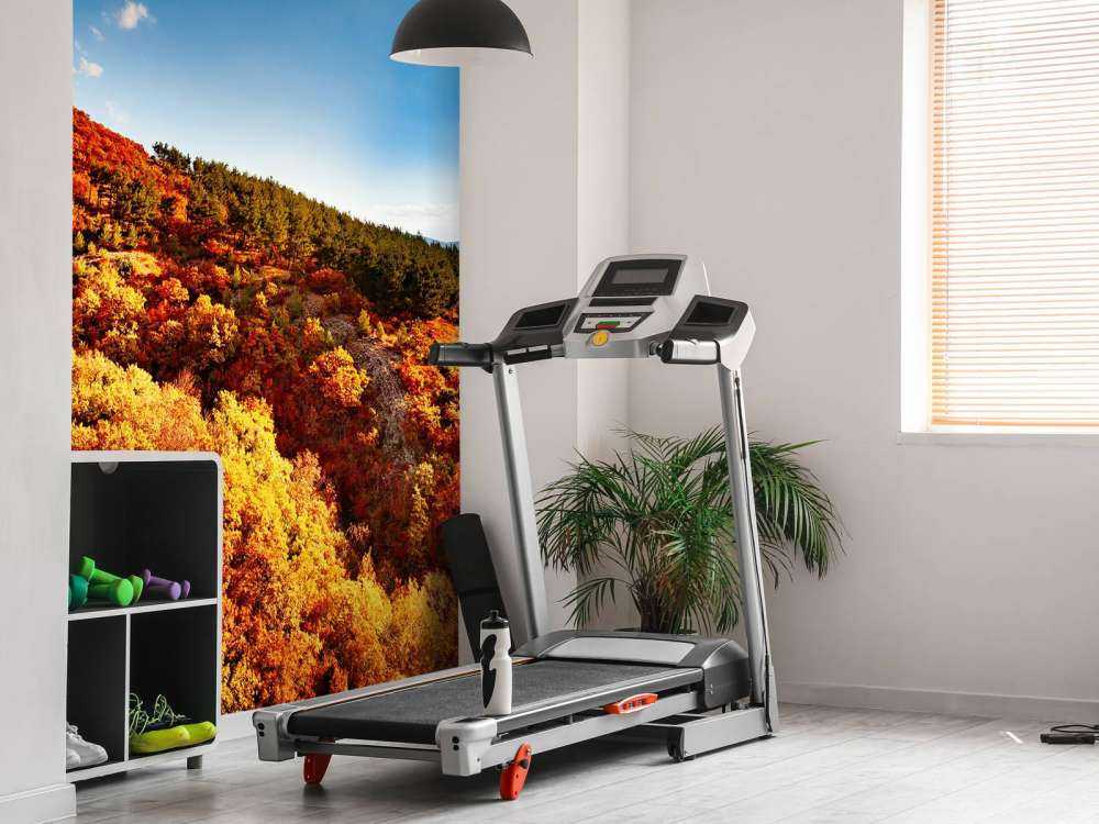 Landschap met gekleurde bomen