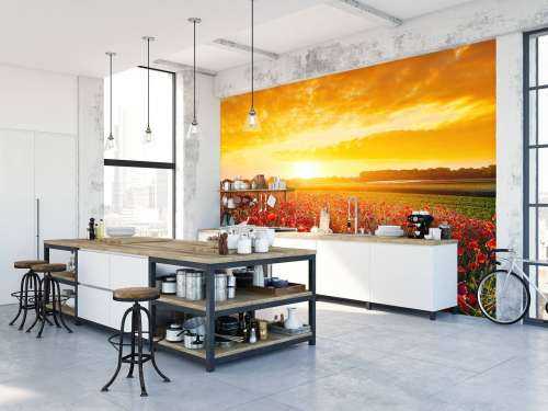 Klaprozen en zonsondergang