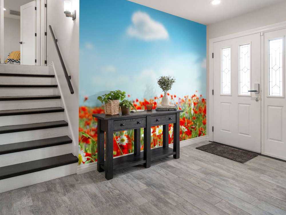 Klaprozen en Madeliefjes