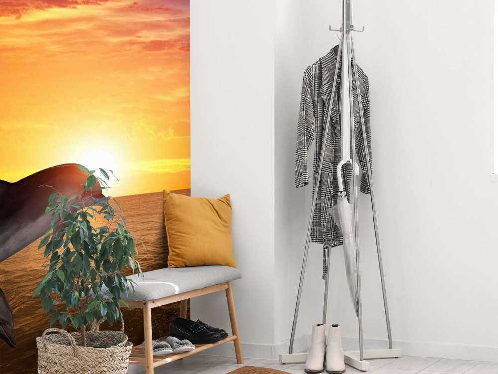 Dolfijnen bij zonsondergang