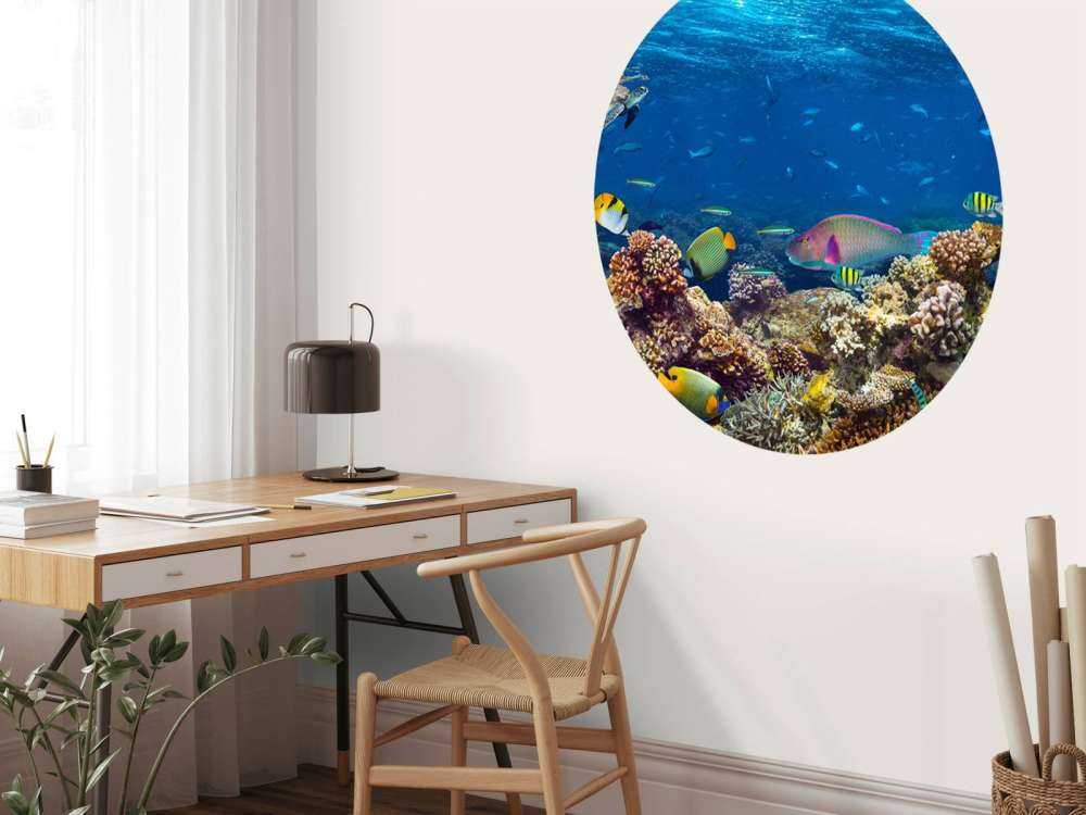 Koraalrif met veel verschillende soorten onderwater dieren