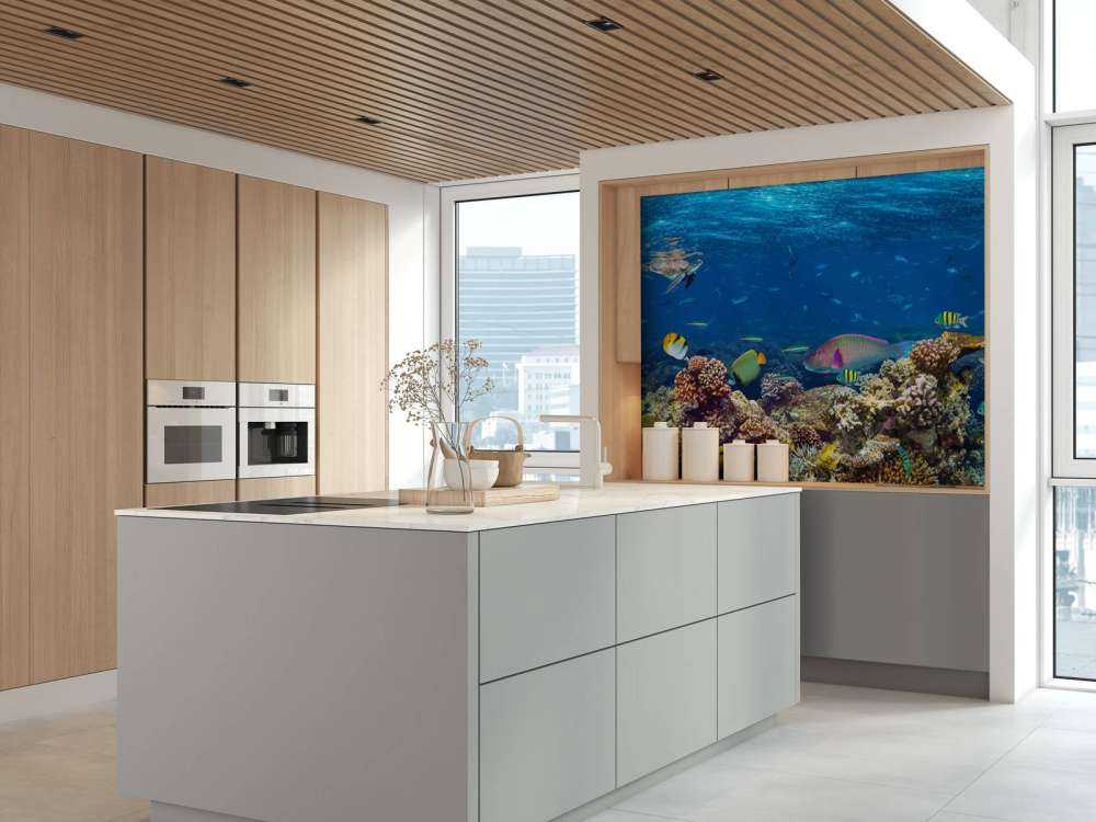 Koraalrif met veel verschillende soorten onderwater dieren