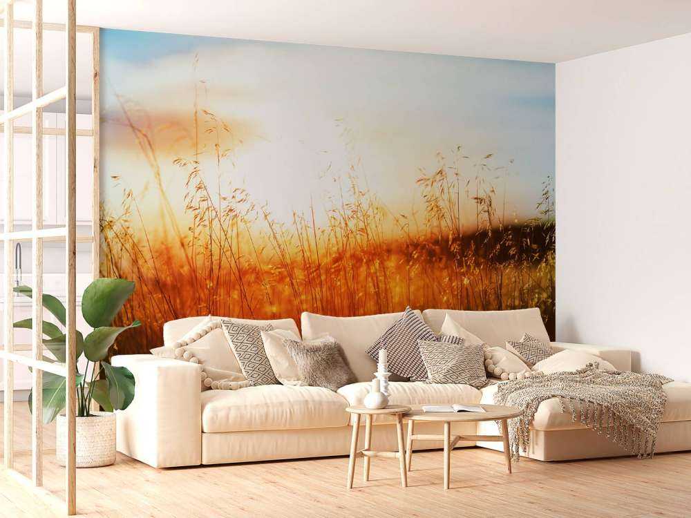 Een zonnige dag op de weide