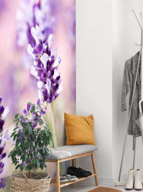 Lavendel bloem