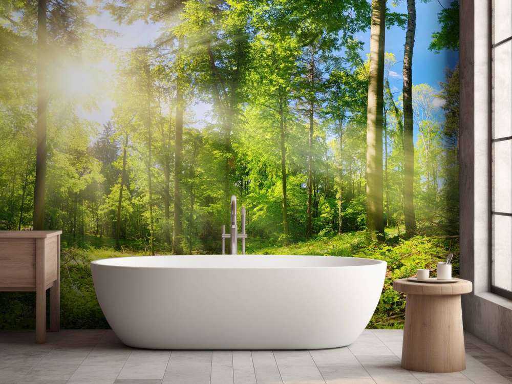 Bos met zonnestralen