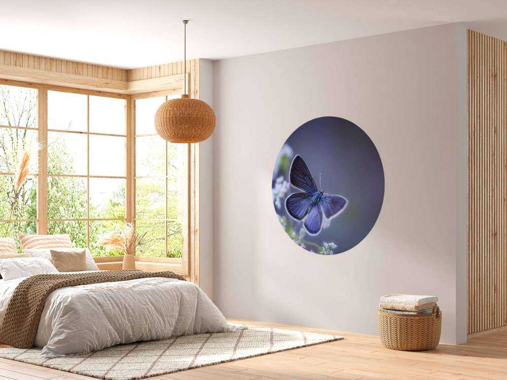 Blauwe vlinder