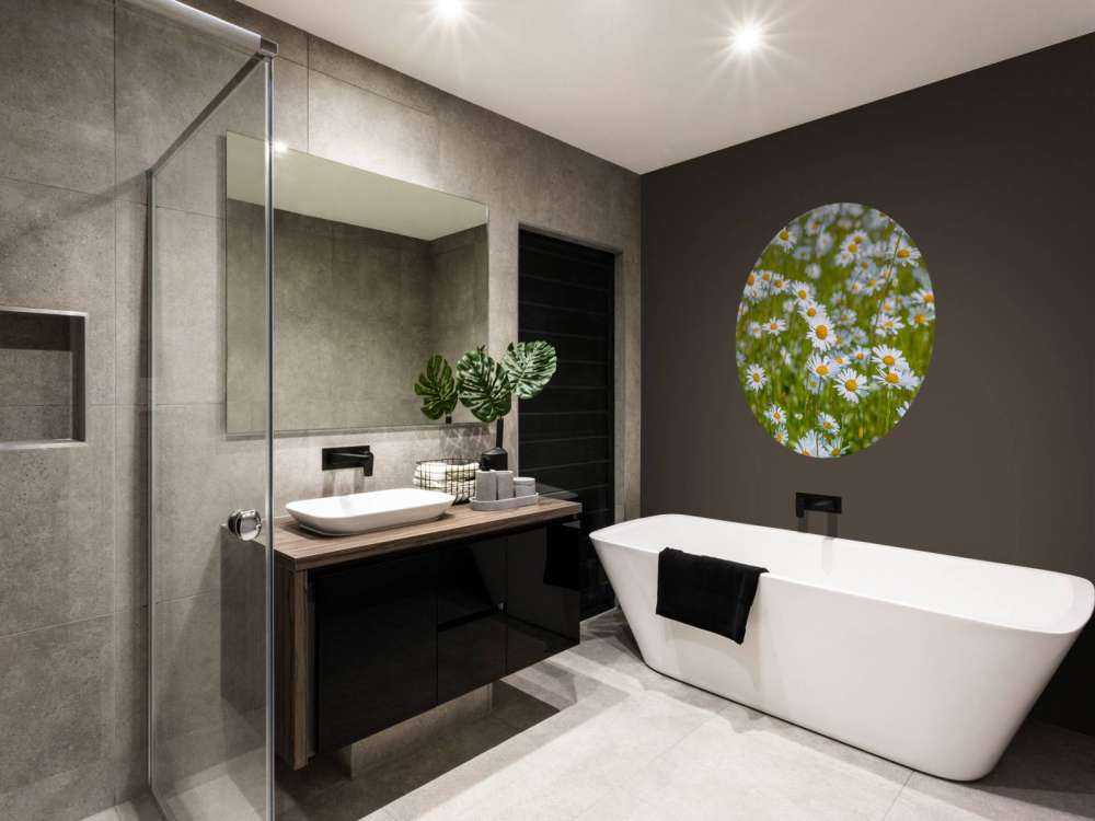 Madeliefjes in een veld