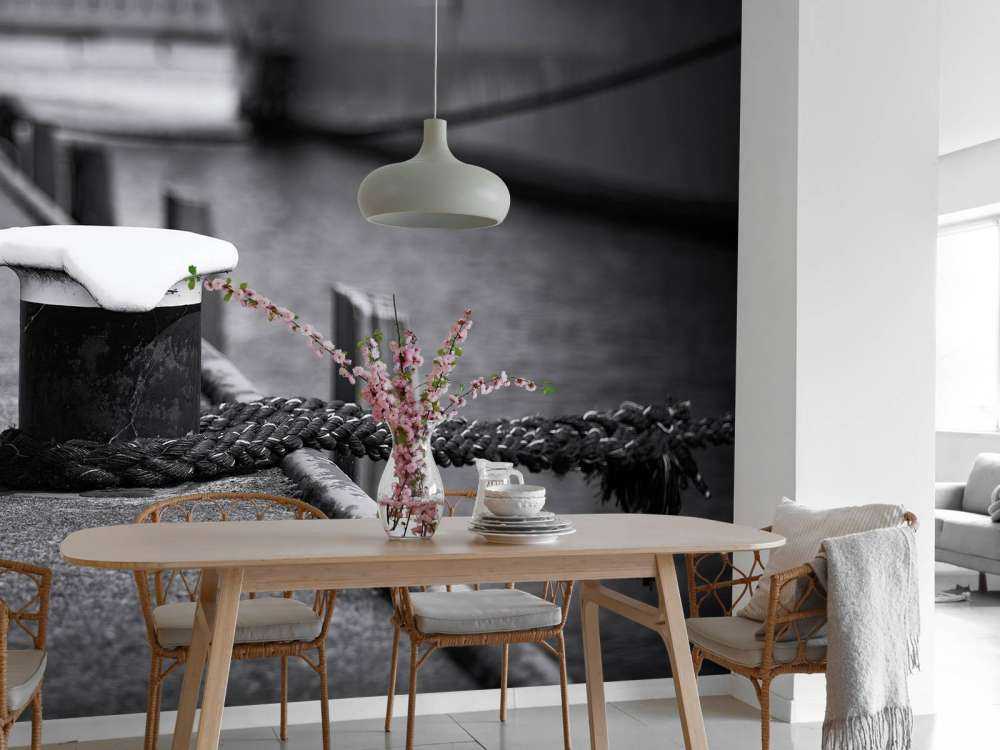 Aangemeerd passagiersschip  