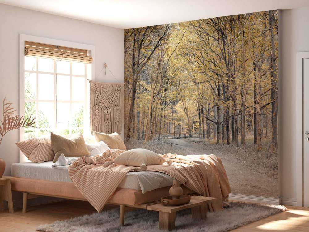 Bosweg tijdens de herfst