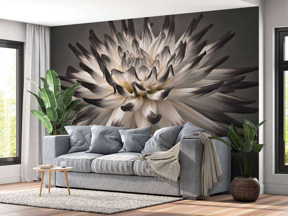 Dahlia bloem zwart wit