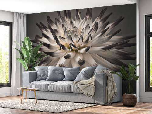 Dahlia bloem zwart wit