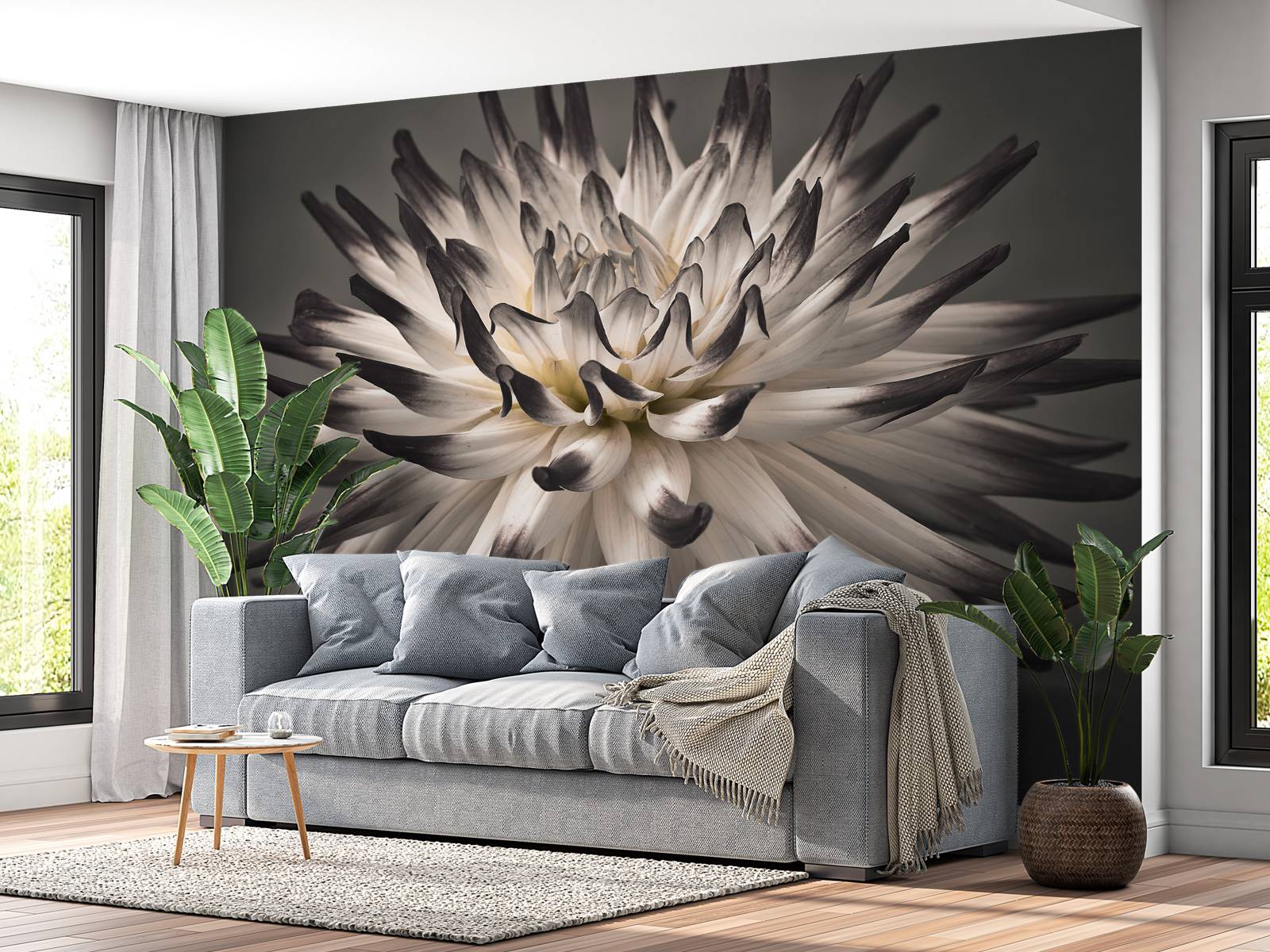 Dahlia bloem zwart wit