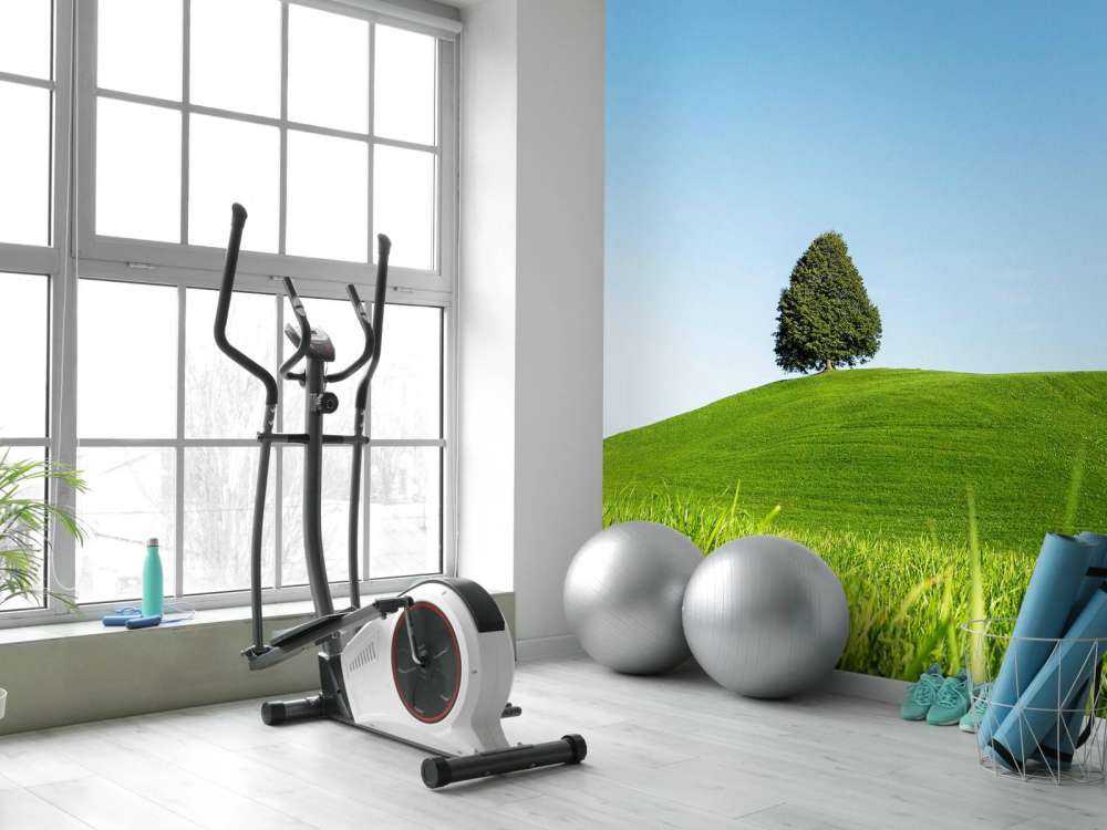 Eenzame boom op groene heuvel