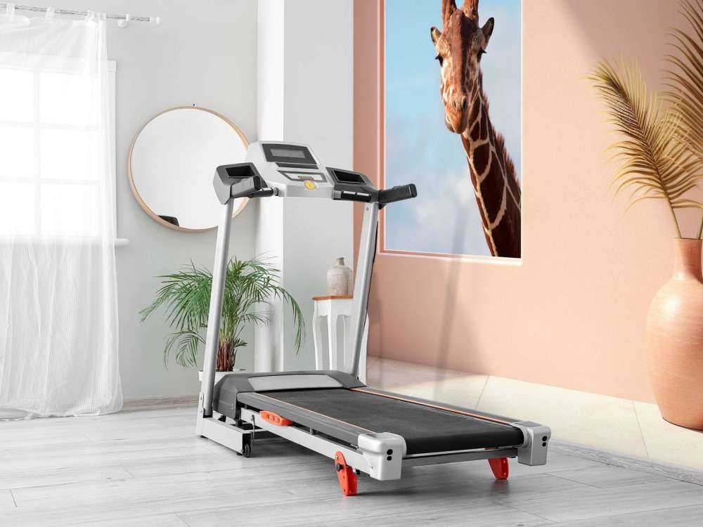 Nieuwsgierige giraffe aan het raam