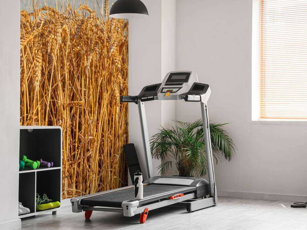 Golden wheat under brooding skies