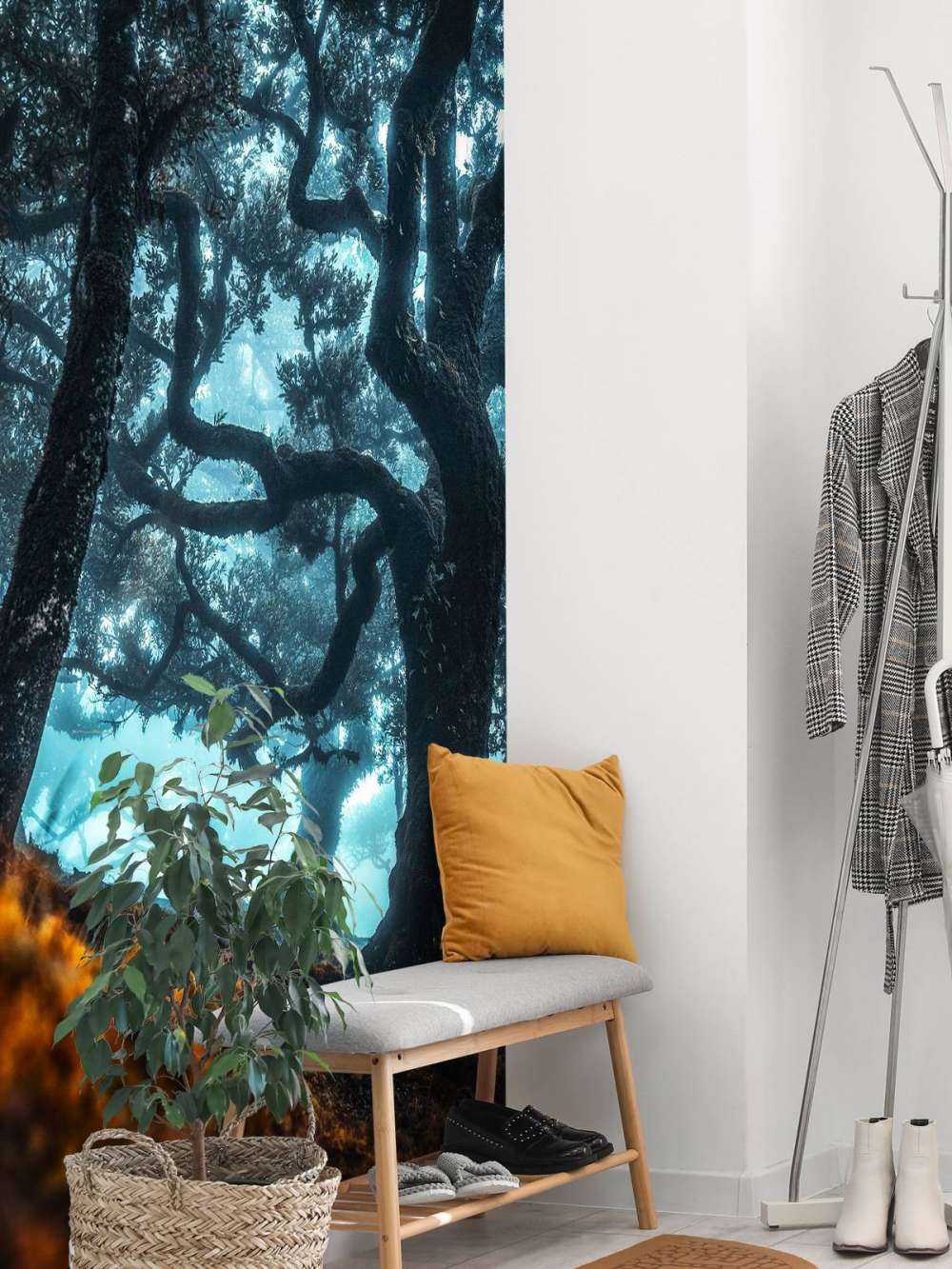 Mystiek silhouet in nevelwoud