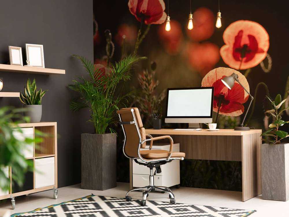 Dansende Klaprozen in Zonlicht