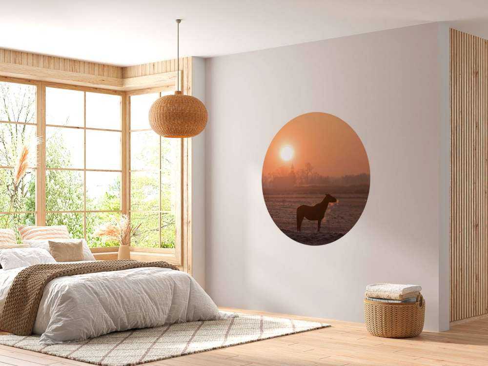 Paard in de Ochtendgloed