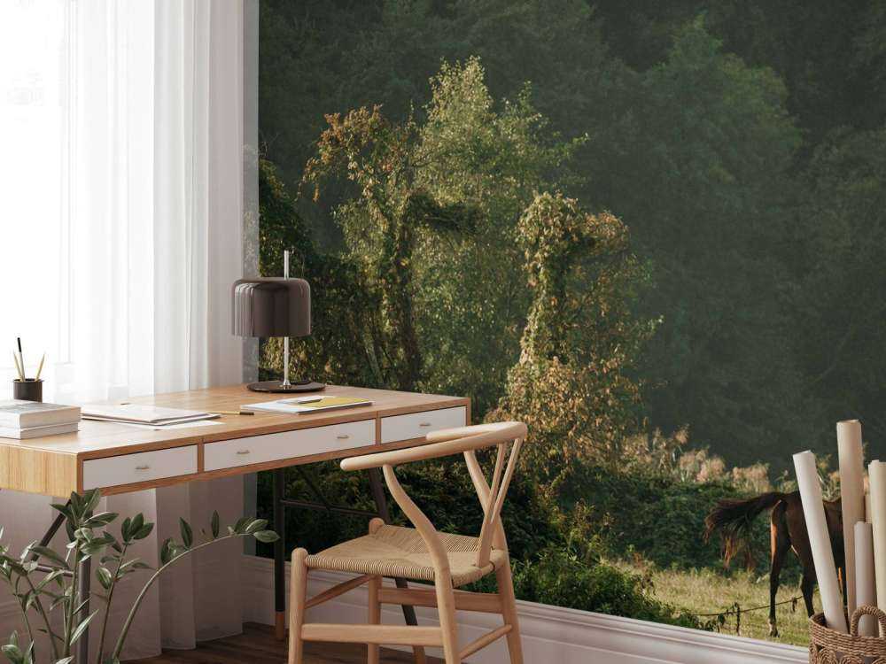 Paarden in het Betoverde Woud