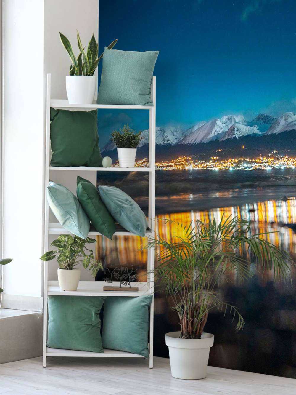 Nachtlicht Aan Besneeuwde Kust