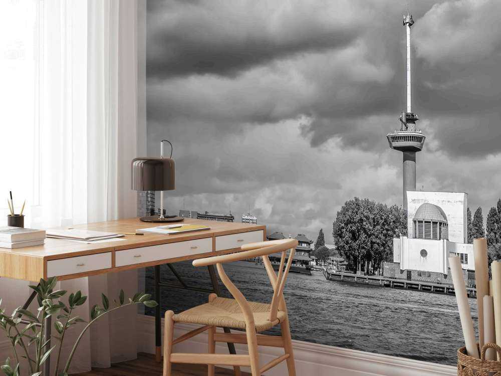 Euromast en Maas in Monochroom