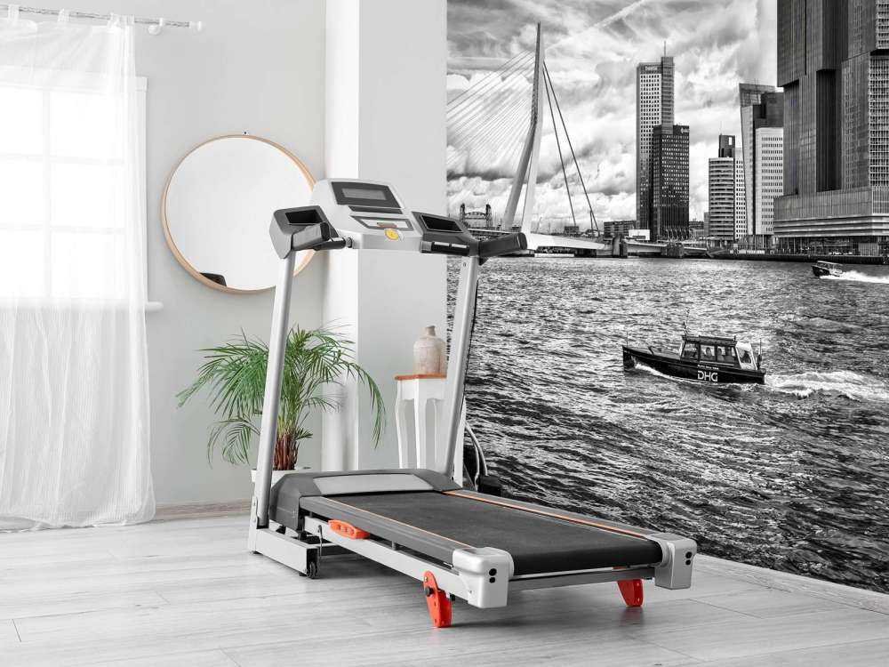 Erasmusbrug en Skyline in Monochroom