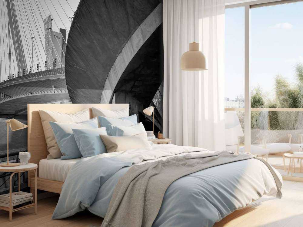 Erasmusbrug en Stadsarchitectuur