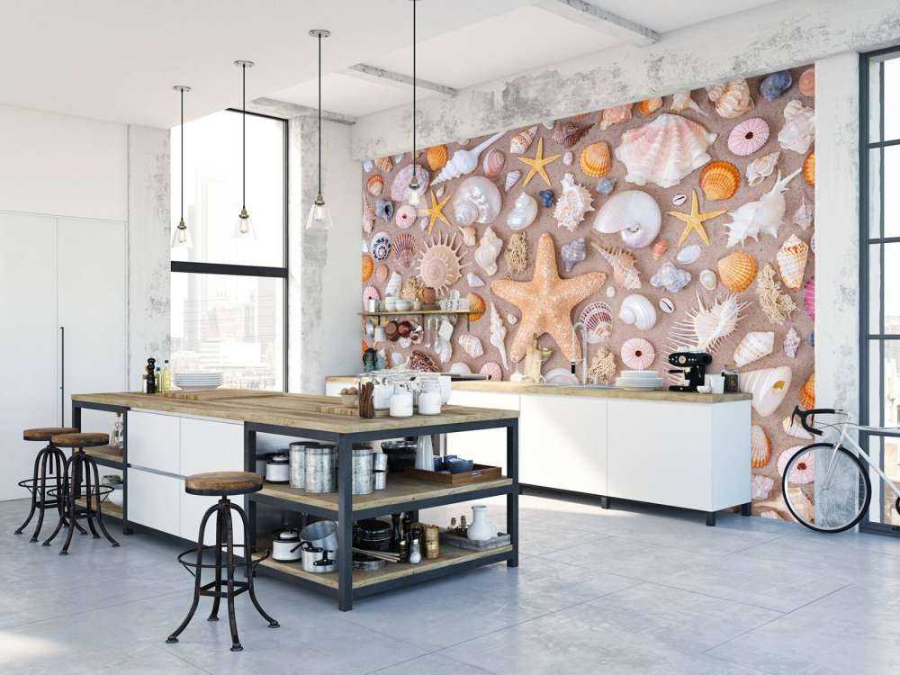 Full frame of collection of seashells