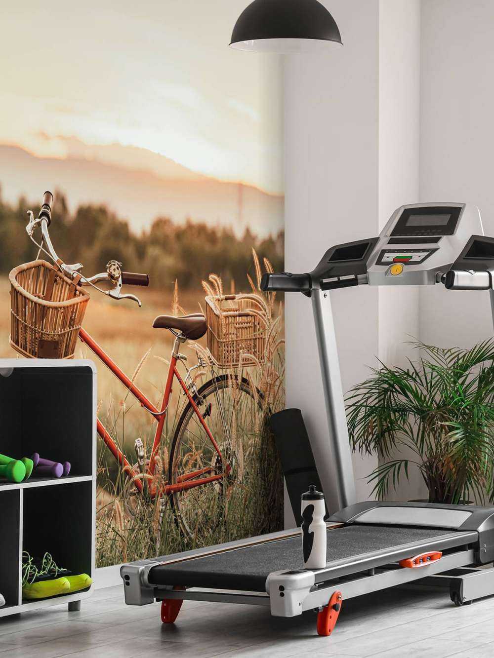 Oude fiets in de zomer