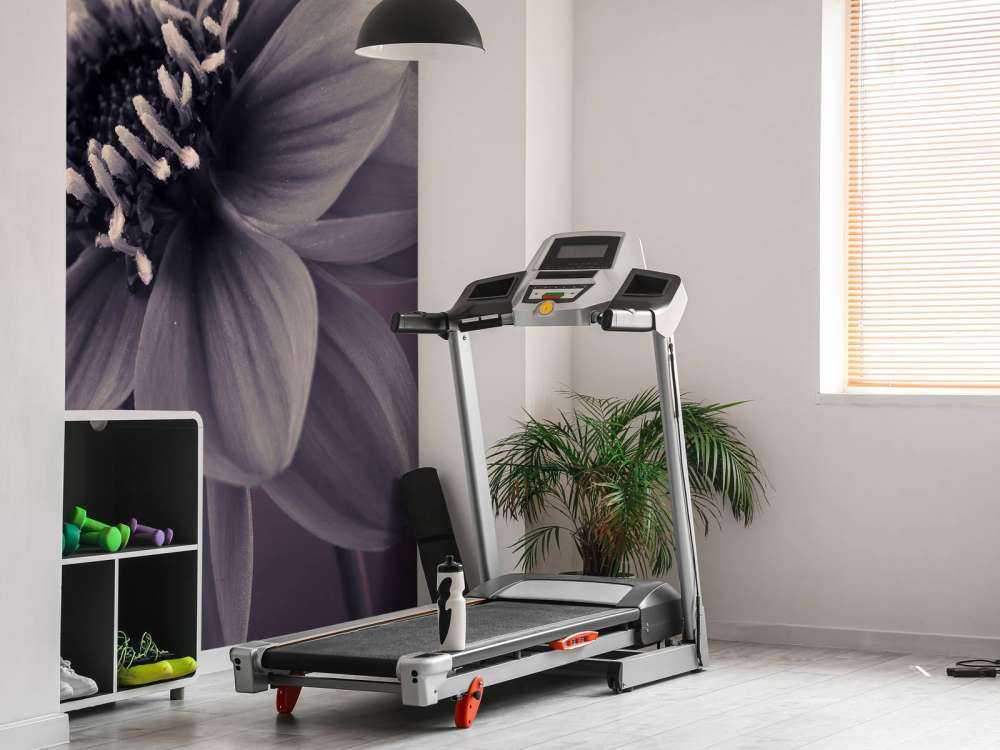 Donkere dahlia bloem