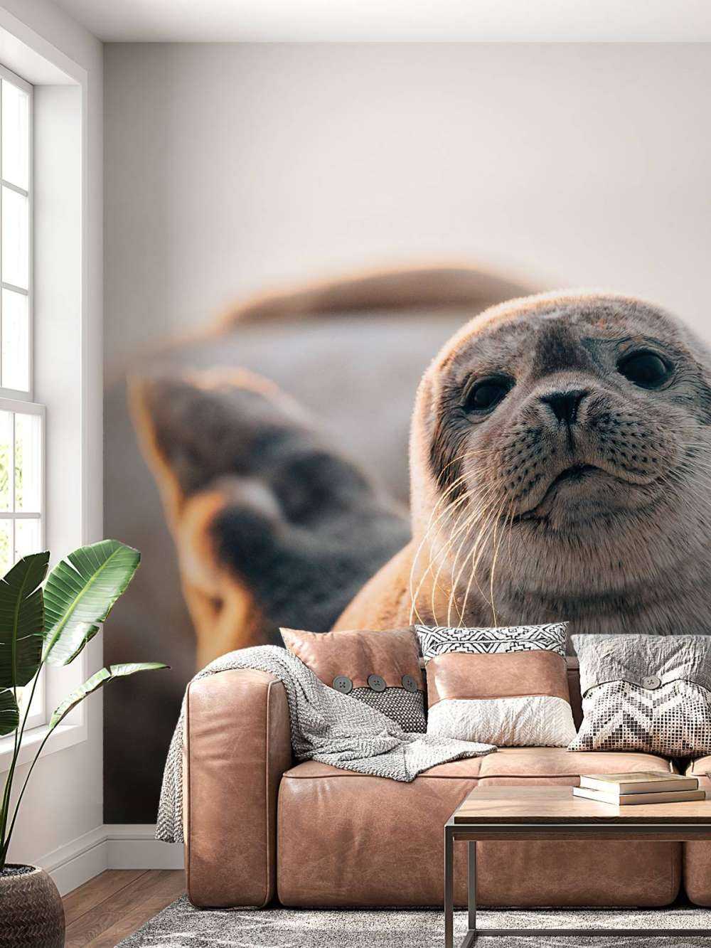 Zeehond op strand in avondlicht