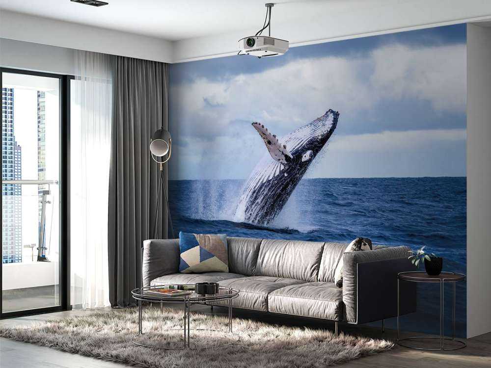 Springende walvis