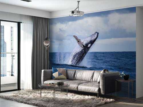 Springende walvis