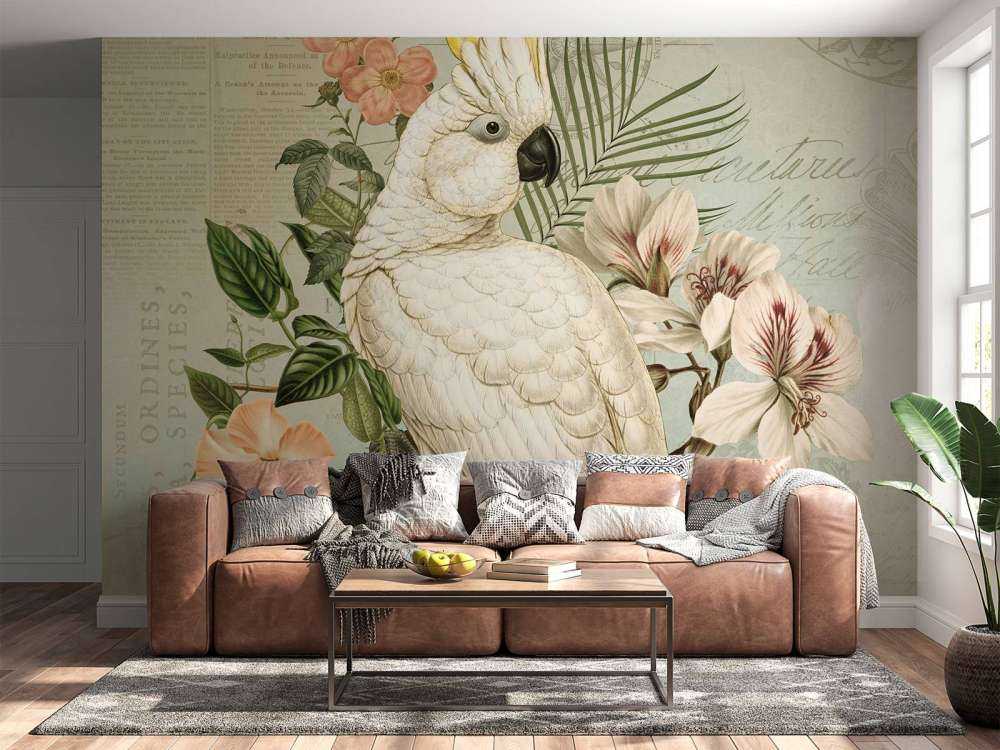 Cockatoo vintage nostalgia